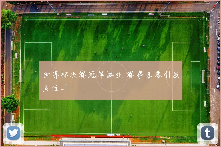 世界杯决赛冠军诞生 赛事落幕引发关注_1