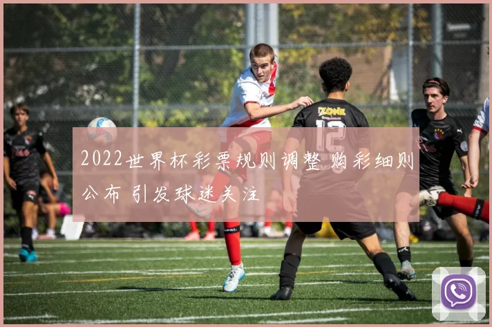 2022世界杯彩票规则调整 购彩细则公布 引发球迷关注